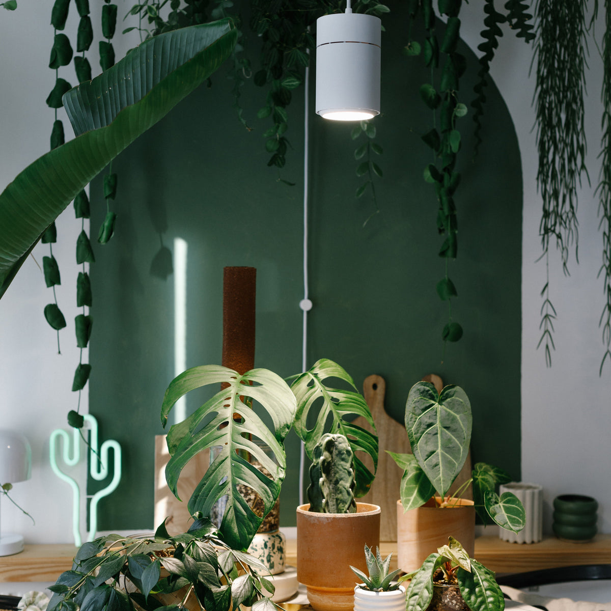 faux fiddle leaf plant OAKRED Artificial Fiddle Leaf Fig Tree with White Planter, 6ft Tall Fake Tree with Natural Wood Trunk for Home Decor, Faux Ficus Tree Fake Moss for