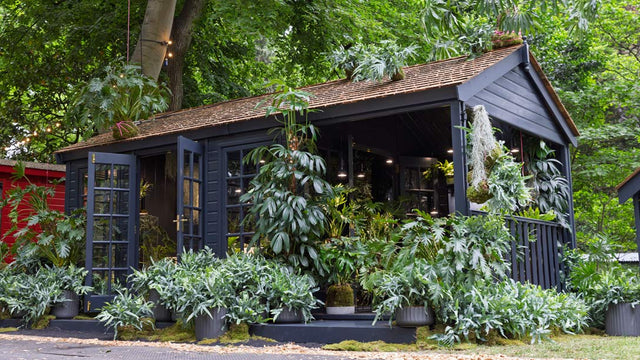 Chelsea Flower Show 2025 – Houseplant Studio