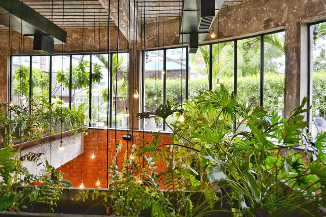 Using grow light timers to optimise plant care: everything you need to know and more