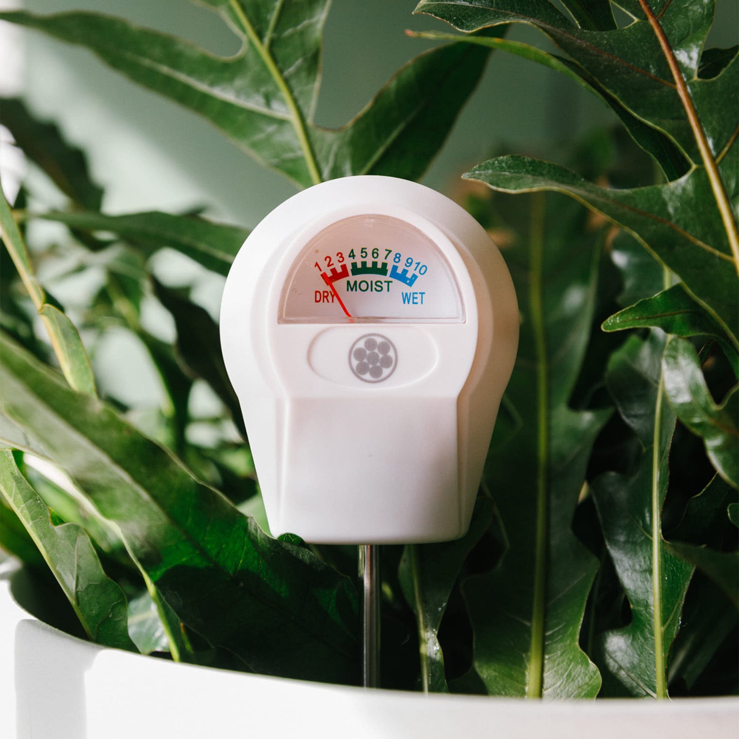 Soil Moisture Meter in a pot