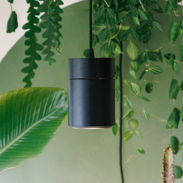 Black pendant light hanging against a green leafy background