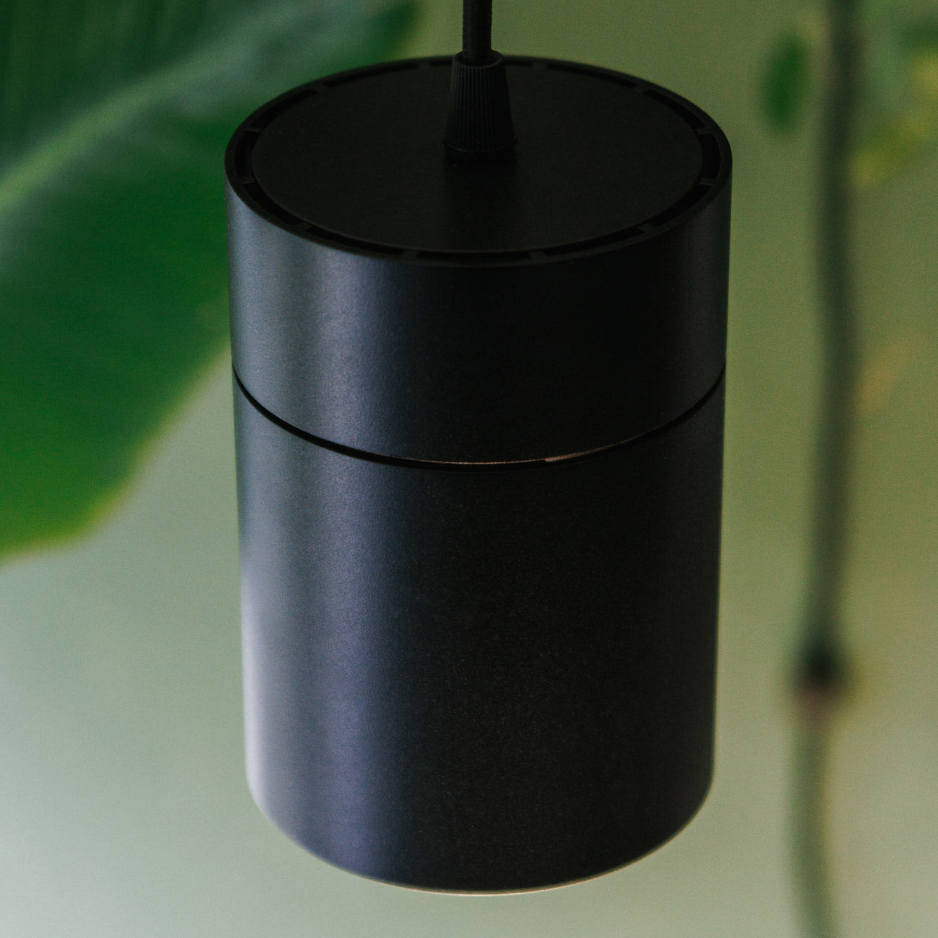 Claria LED-Pendellampe für Pflanzen