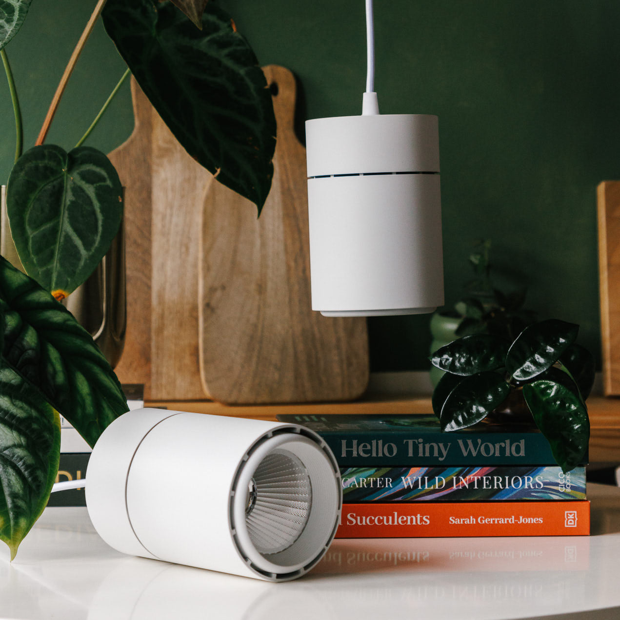 Claria Grow Light x2 Pack Bundle