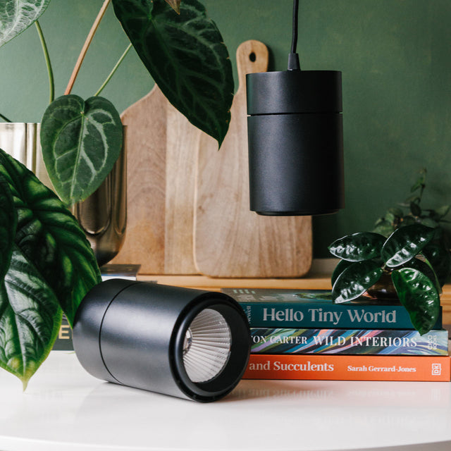 Claria Grow Light x2 Pack Bundle