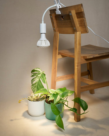 1080x1350_bulb_and_chair