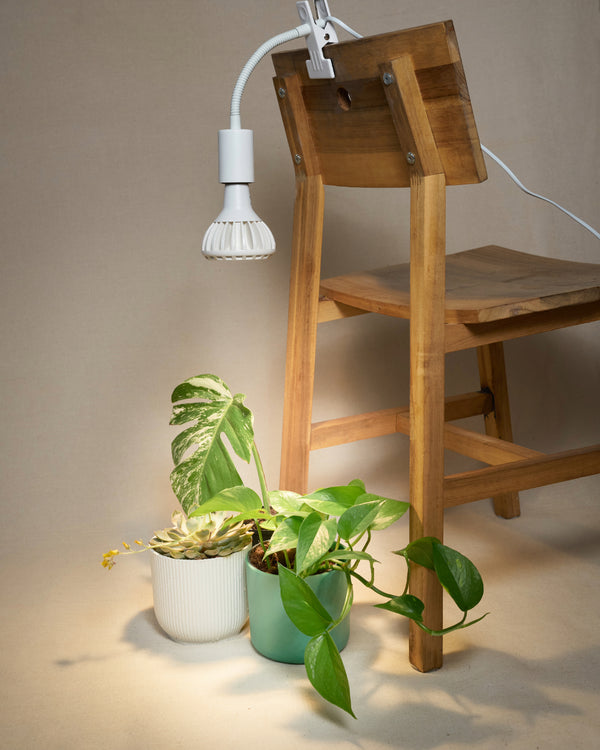 1080x1350_bulb_and_chair