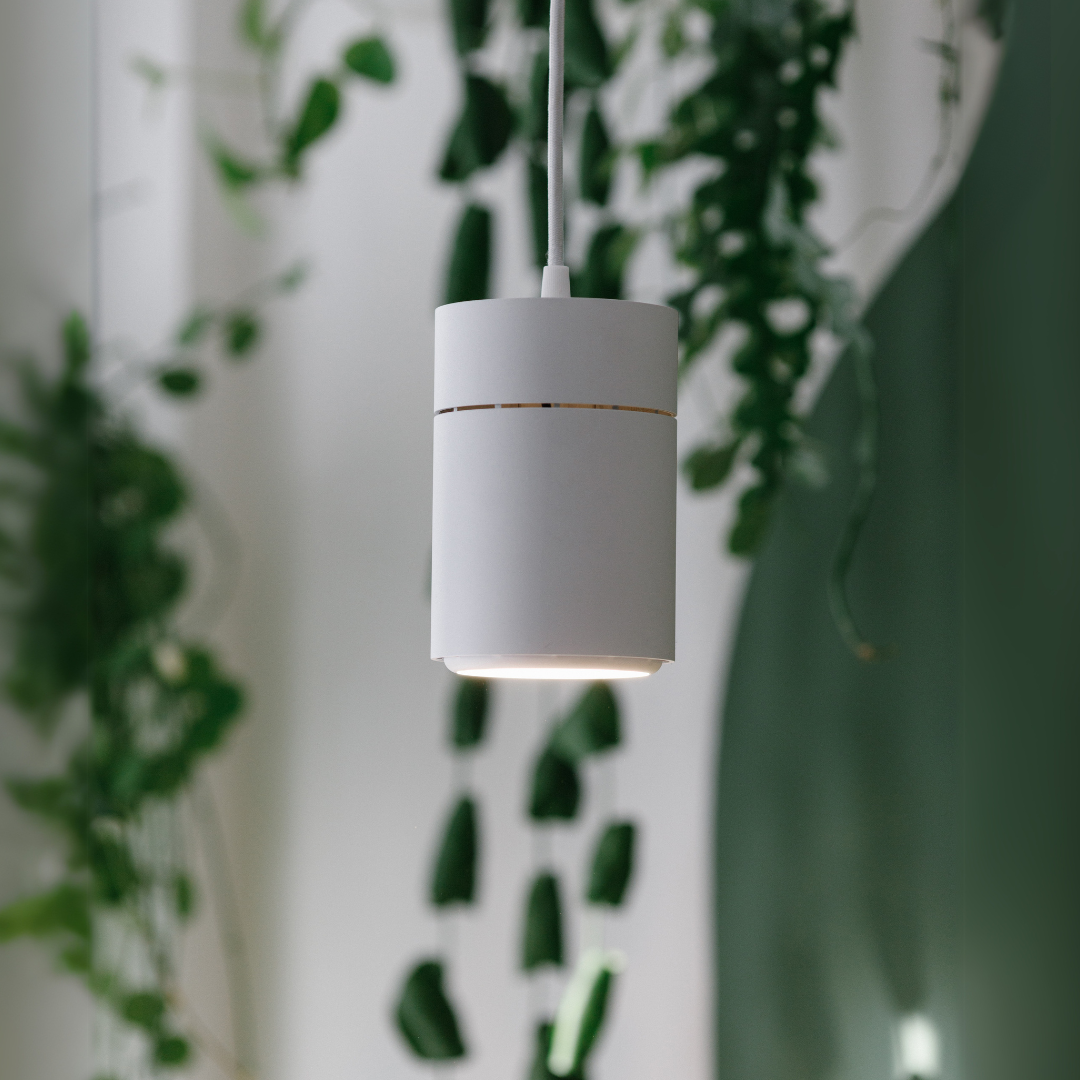Claria LED-Pendellampe für Pflanzen
