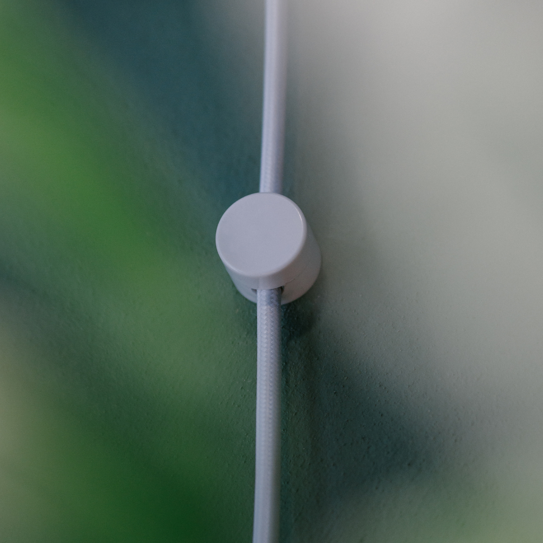 A single green leaf against a white background.