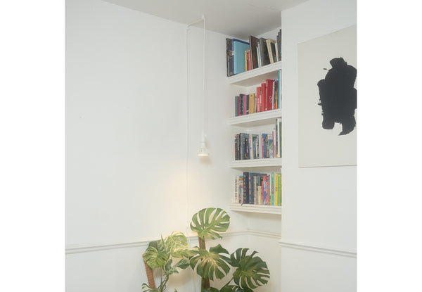 Pianta grow light bulb set up above a monstera plant