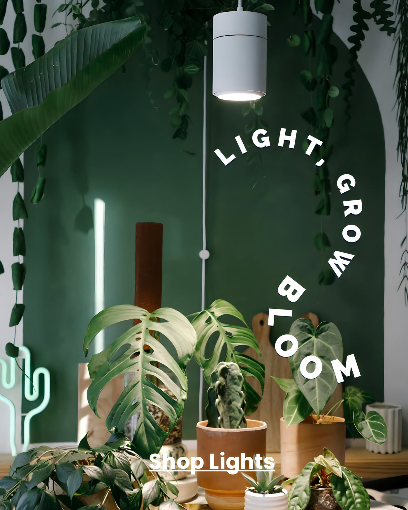 Desktop_remini-enhanced_1080x1350px