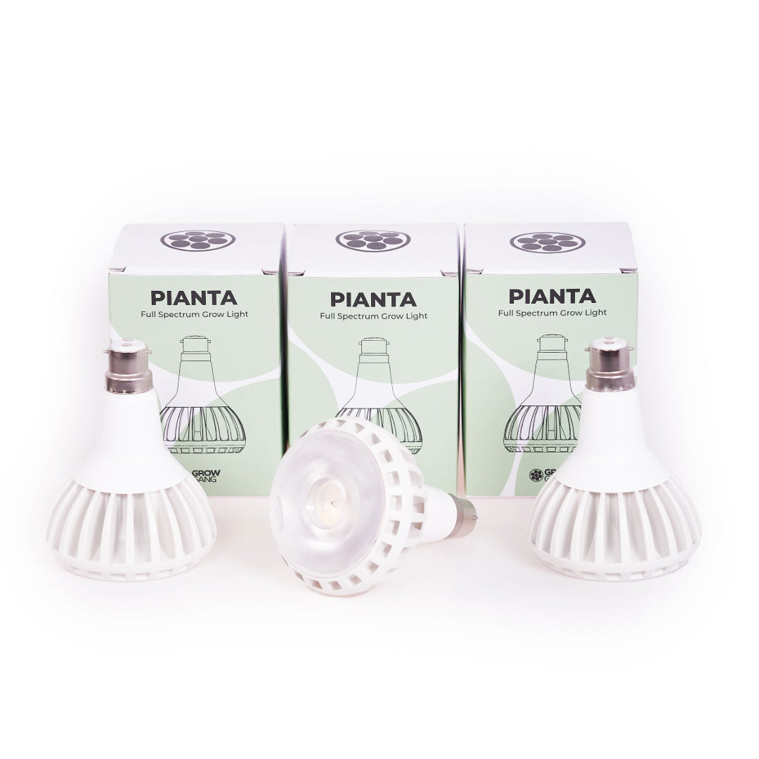 Pianta_LED_GrowLight_3-Pack_Bundle_2_1080x1080px