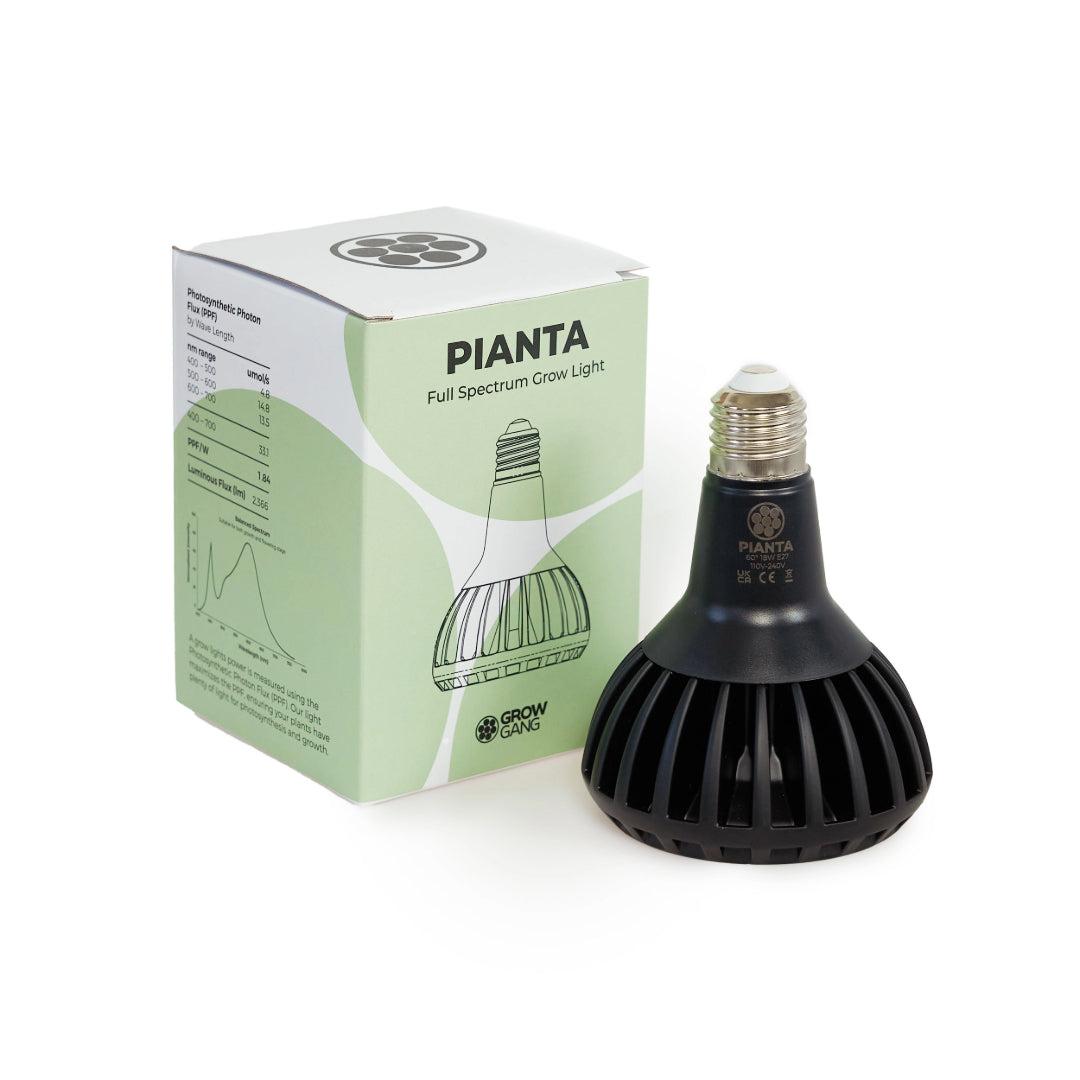 Pianta LED Pflanzenlampe : Schwarz