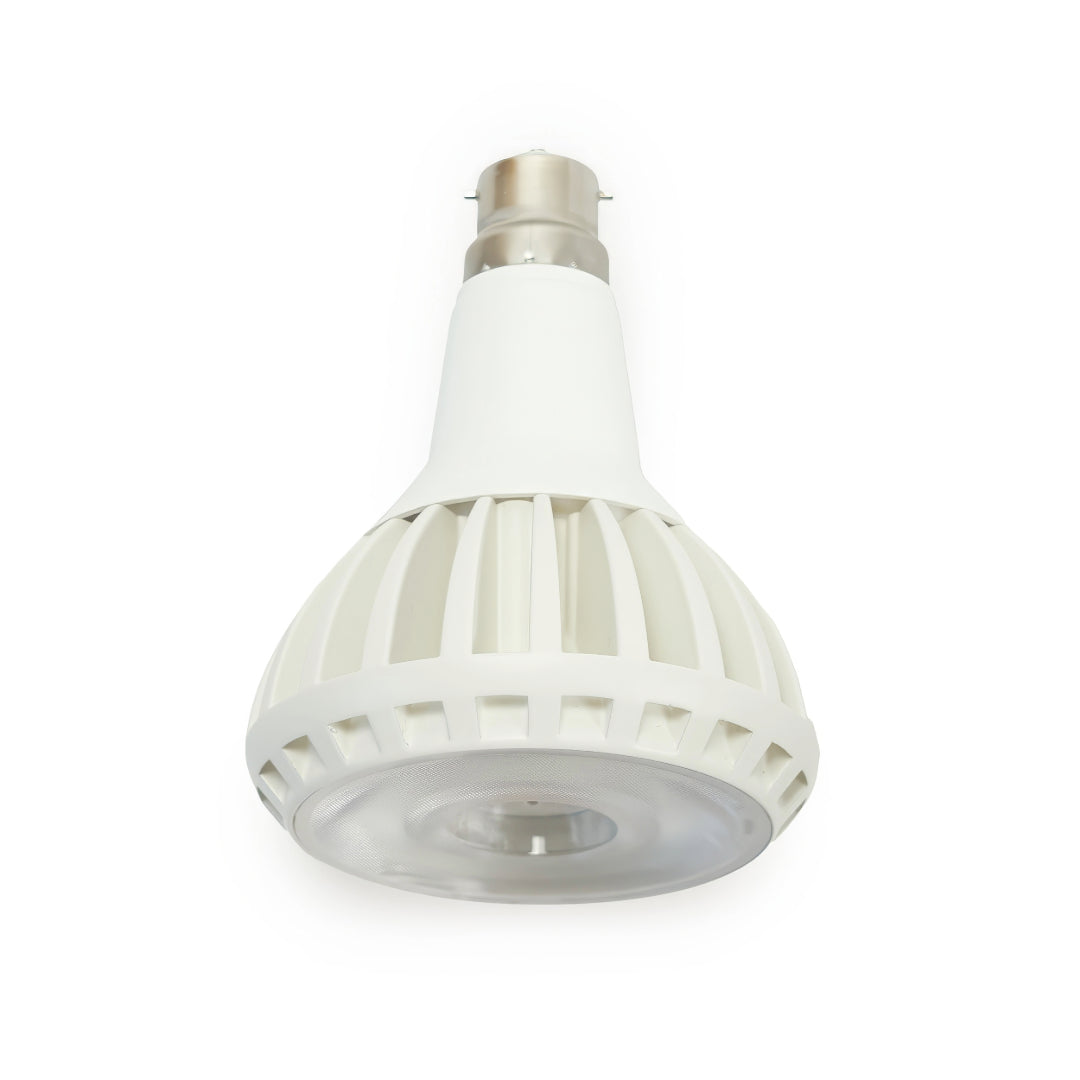 Pianta_LED_Grow_B22_3_