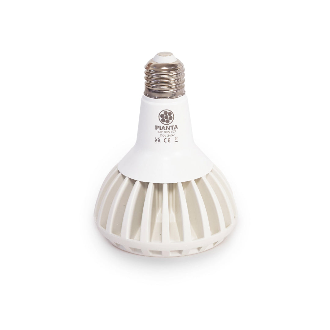 Pianta_LED_LightBulb_Dimmable_4_1080x1080px
