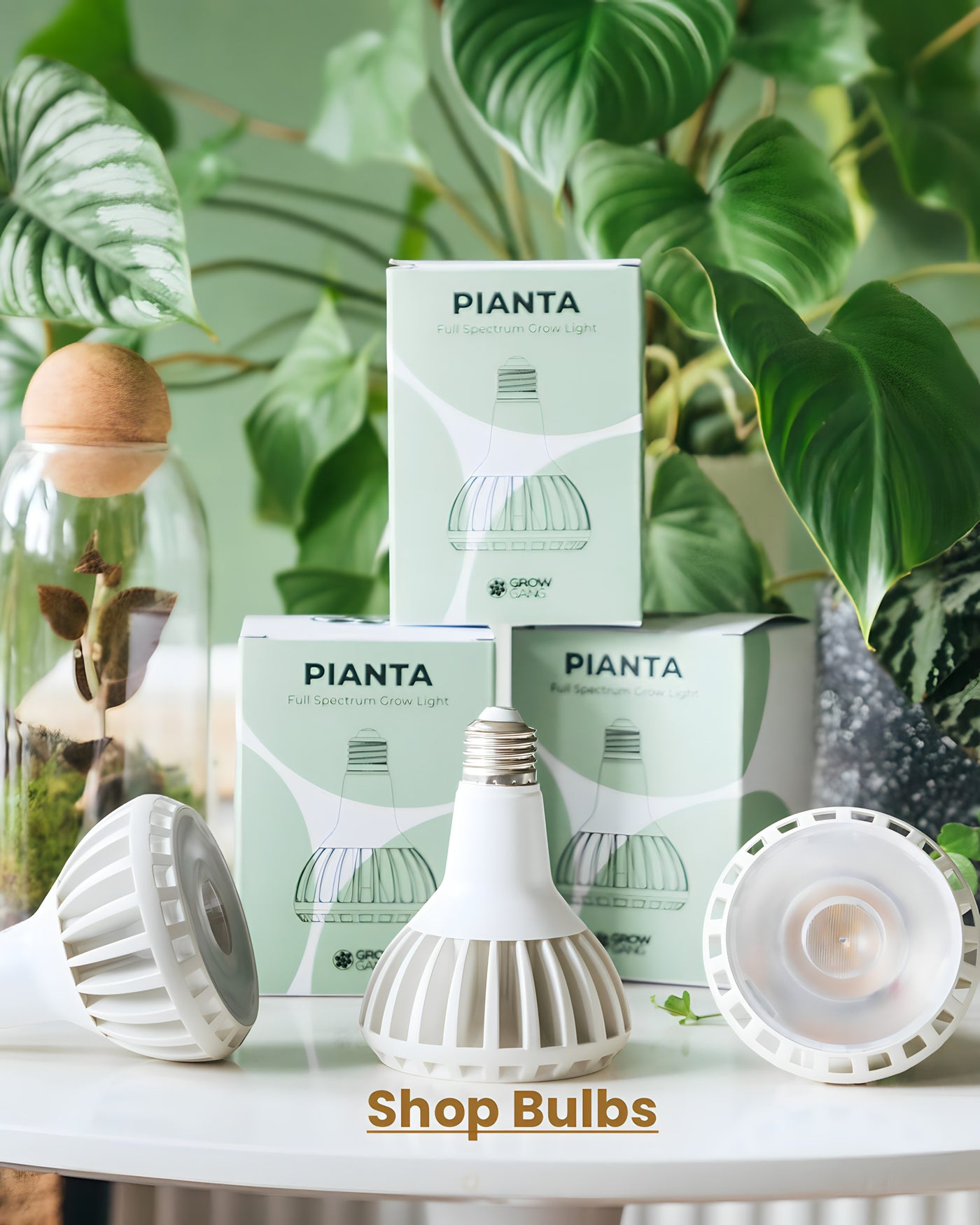 Remini-enhanced_1080x1350px_74a4d77c-2835-4e69-8851-41718d93cedc