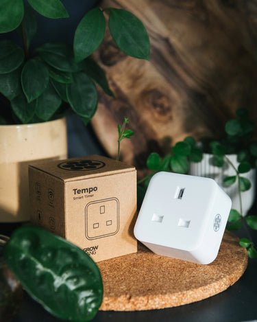 SHOP_ACCESSORIES_1080X1350px