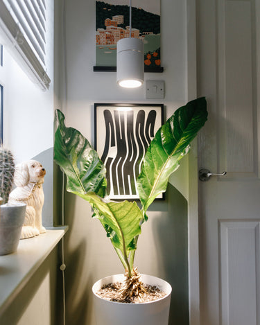 SHOP_PENDANTS_1080x1350px