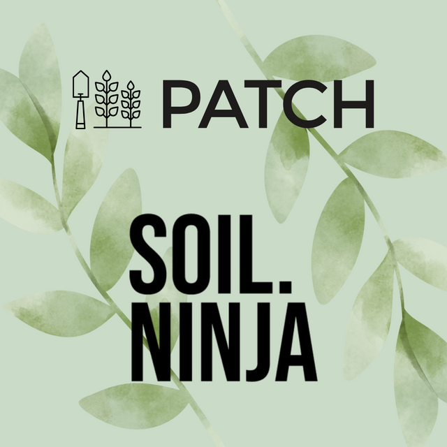 Growing Together: Our Partners and Collaborations