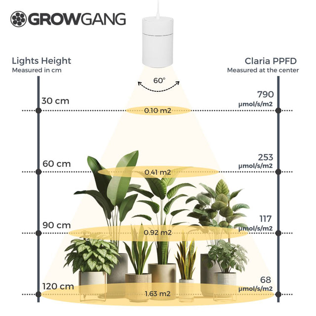 What is the PPFD of the Claria Grow Light?