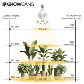What is the PPFD of the Pianta Grow Light?