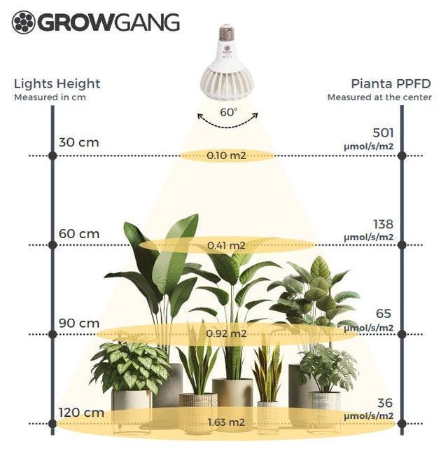 What is the PPFD of the Pianta Grow Light?