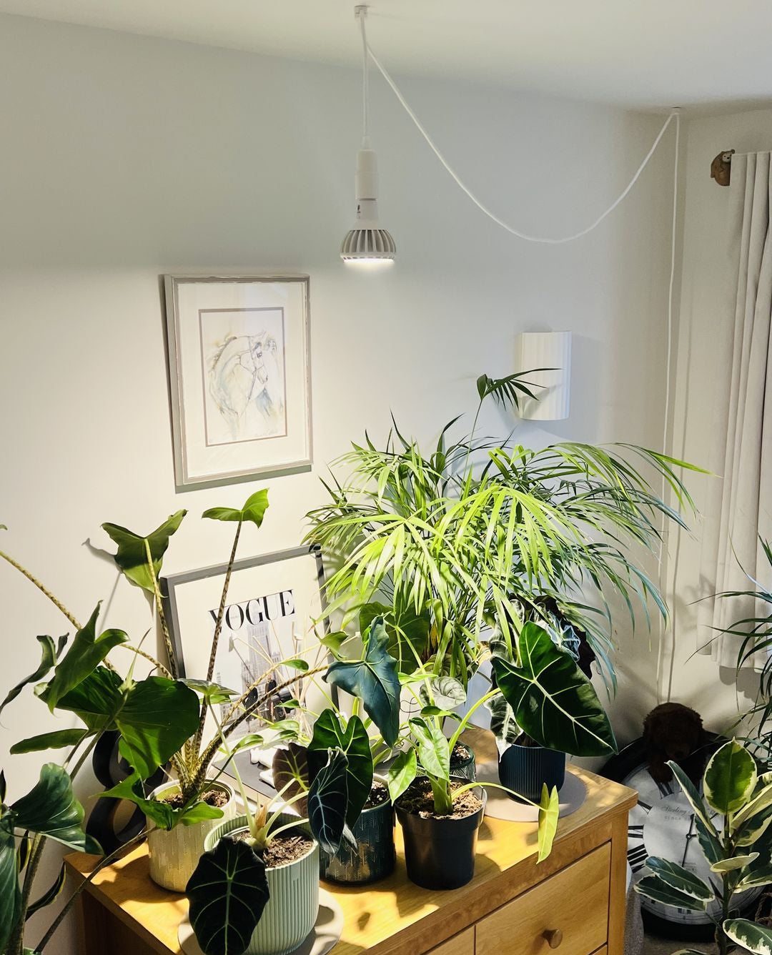 LED Grow Bulb : Boost plants' growth in style Grow Gang