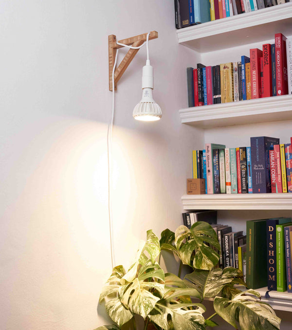 Pianta grow light suspended on a bamboo wall mount in a living room