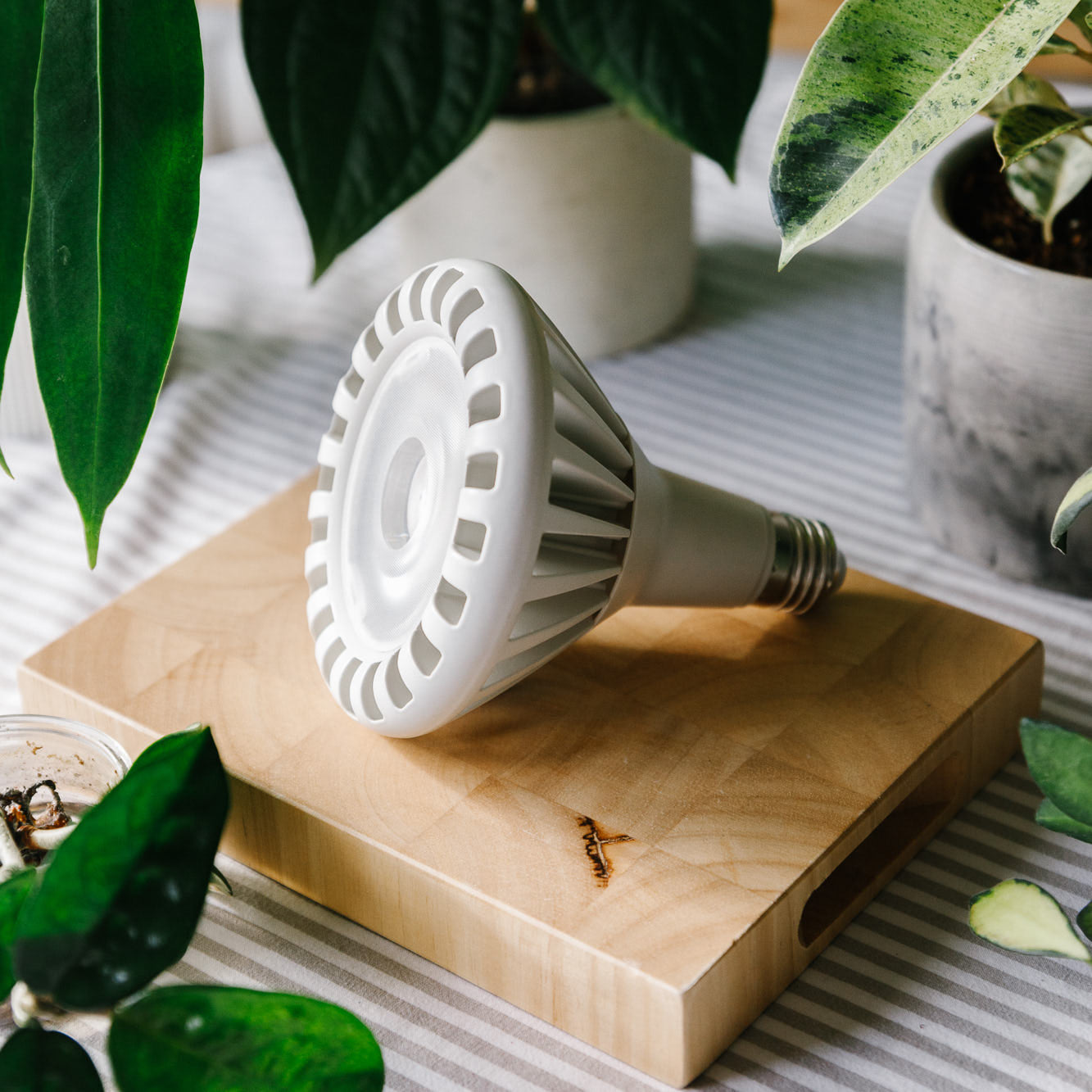 Pianta 30 Grow Light LED Bulb