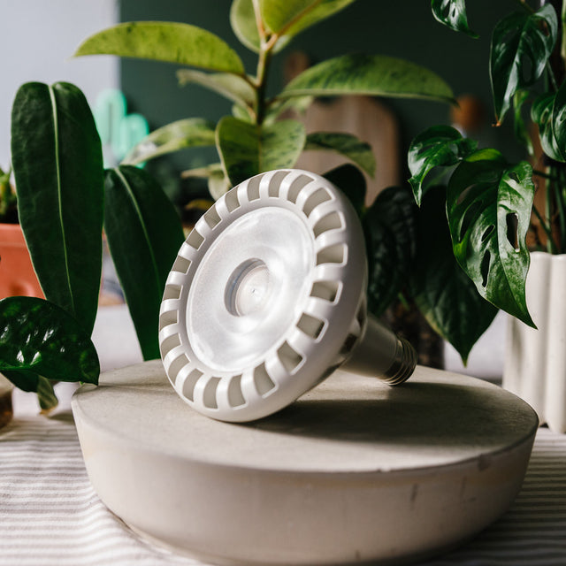 Pianta 30 Grow Light LED Bulb