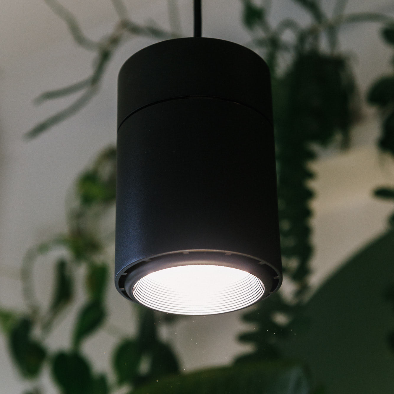Claria LED-Pendel­lampe für Pflanzen