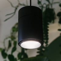 Claria LED-Pendel­lampe für Pflanzen
