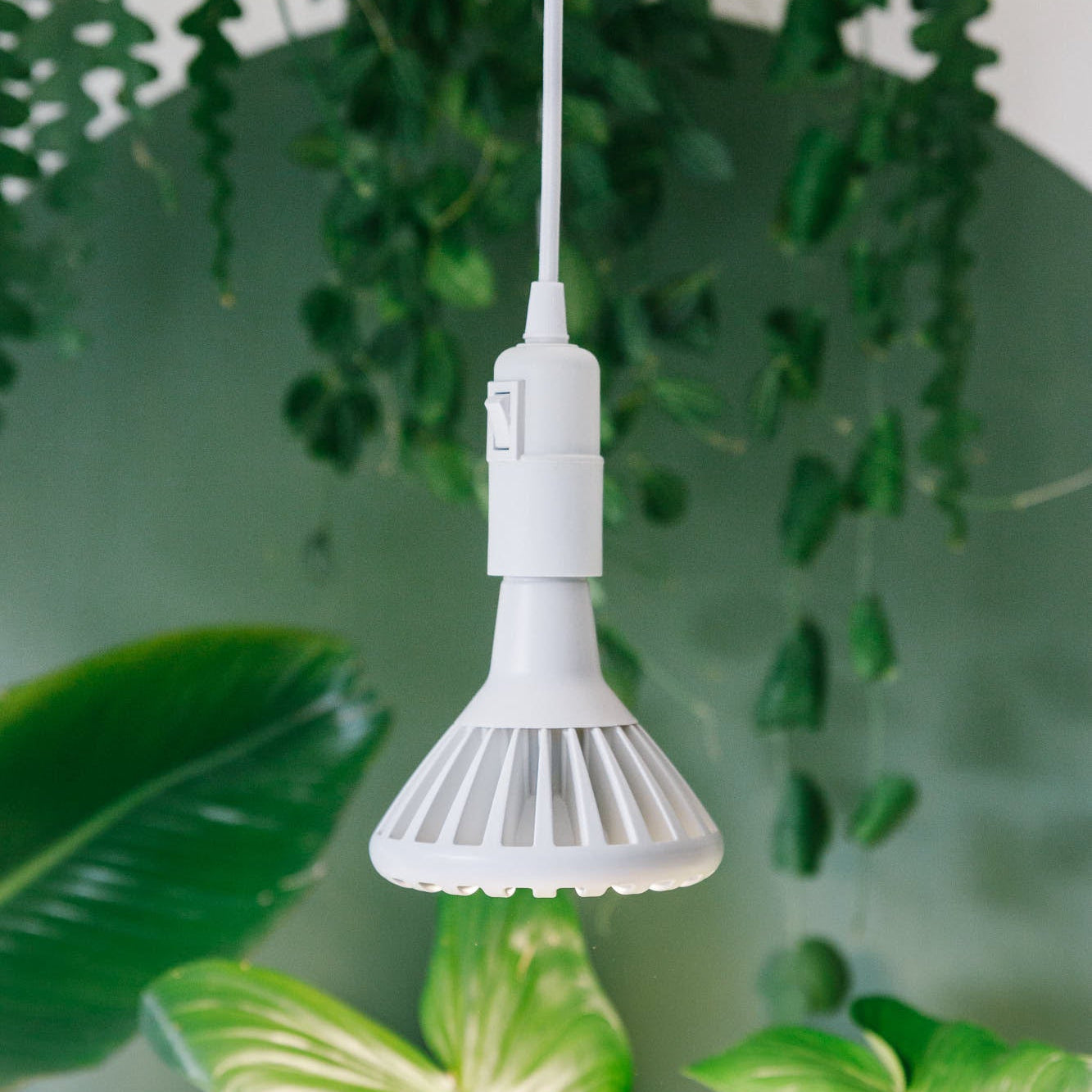 Pianta 30 Grow Light and Enna Ceiling Pendant Bundle