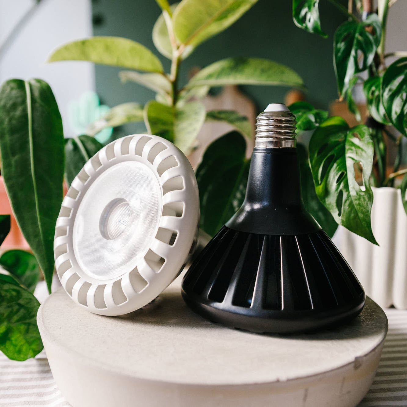 The Black and White Pianta 30 grow light bulbs