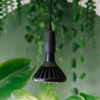 Black Pianta 30 and Enna ceiling pendant