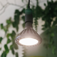 Black Pianta 30 grow light and ceiling pendant
