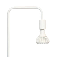 Pianta Grow Light and Adjustable Floor Lamp Bundle