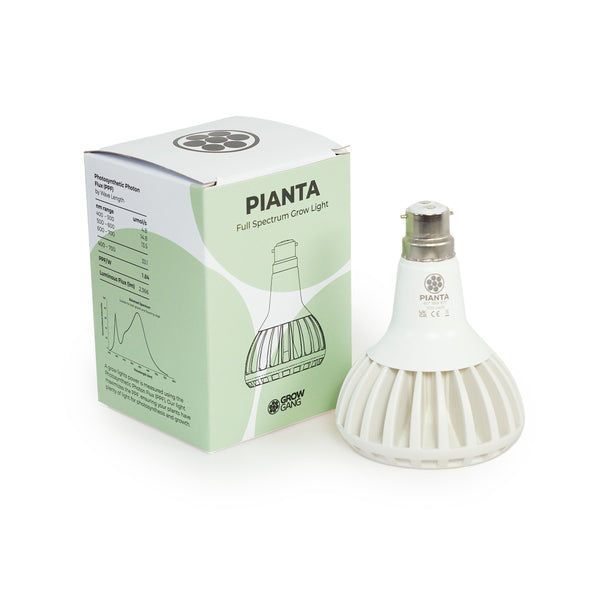 Pianta B22 grow light bulb