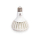 Pianta grow light bulb