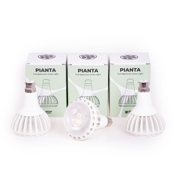 Three white B22 Pianta grow lights
