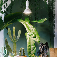 Pianta 30 Grow Light and Enna Ceiling Pendant Bundle