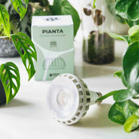 Pianta Grow Light LED Bulb