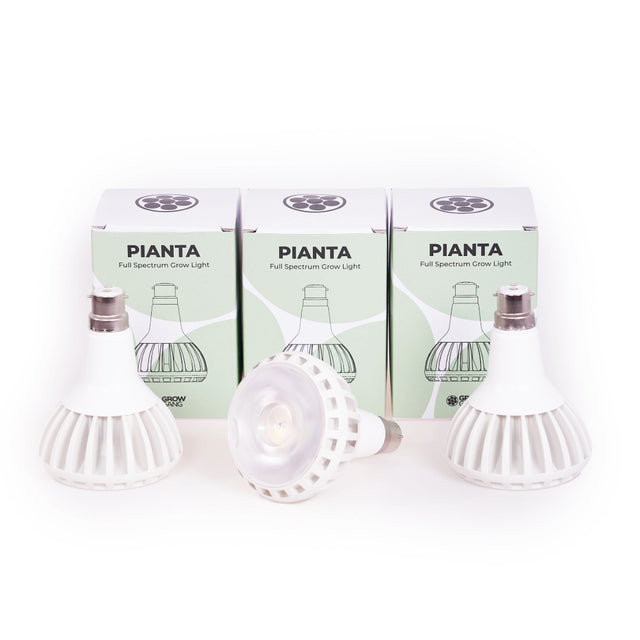 Pianta LED Grow Light 3-Pack bundle