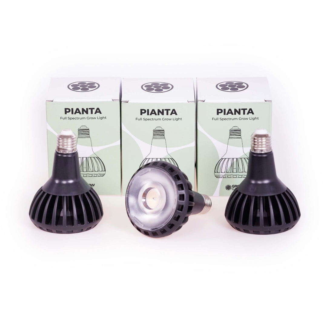 Pianta LED Grow Light 3-Pack bundle