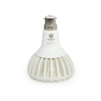 Pianta LED Grow Light Bulb : B22 Bayonet Fit