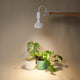 Stelo Gooseneck clip-on Bulb holder and Pianta grow light