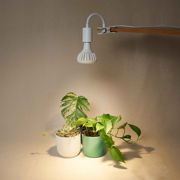 Stelo clip on and pianta grow light pointing at some plants