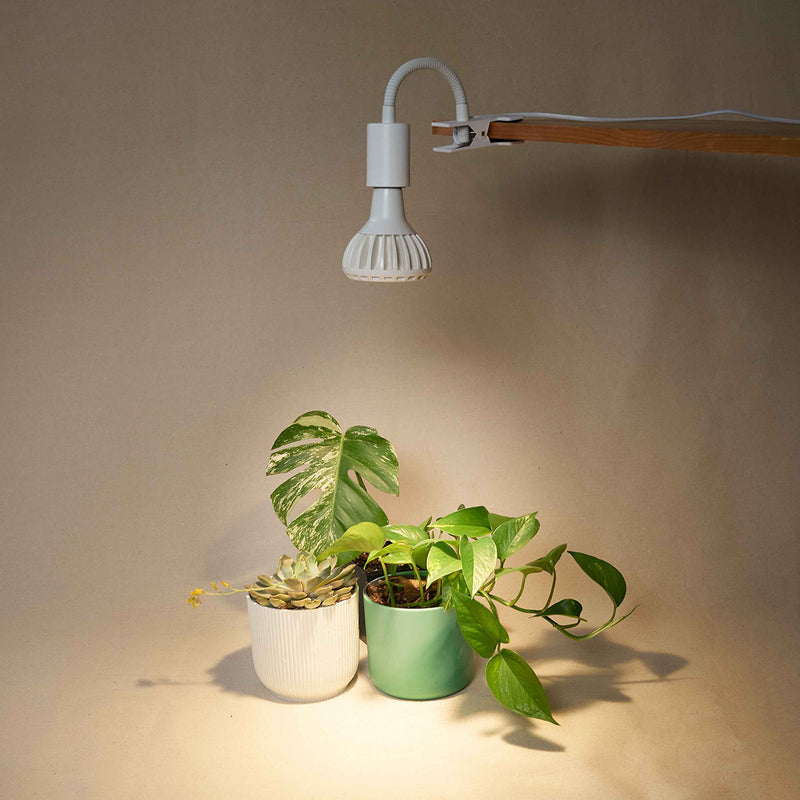 Pianta LED Grow Light Bulb – Grow Gang