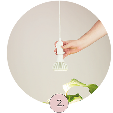 Someone switching on the Pianta light in the Enna ceiling pendant