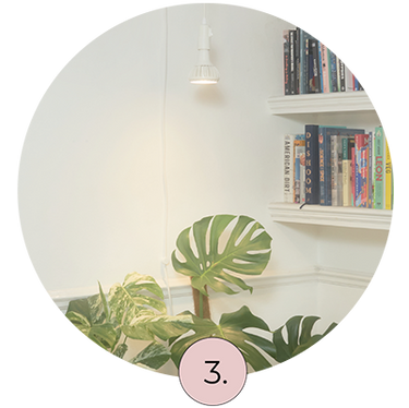 Pianta grow light set up above a monstera