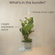 Whats in the bundle? Pianta grow light and Height adjustable stand image